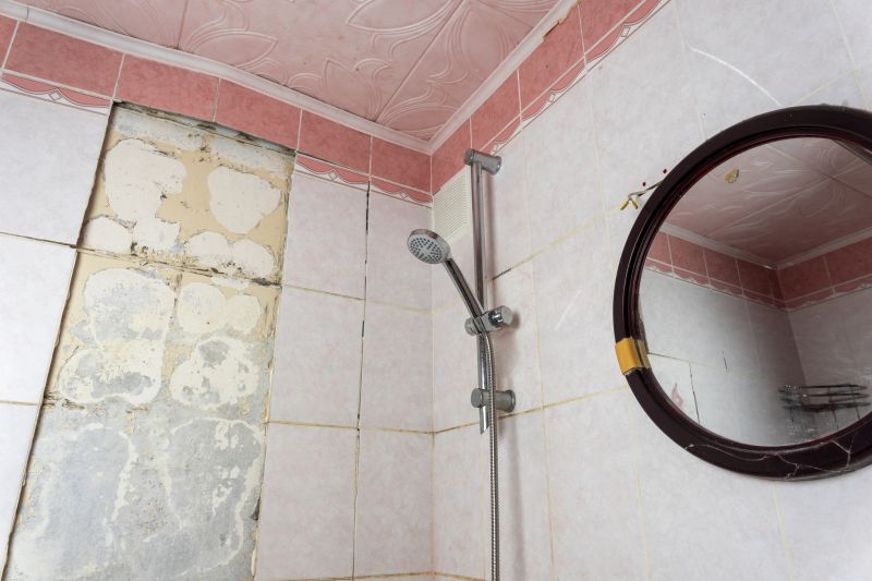 Experienced Bathroom Remodelers